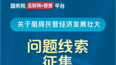 www.逼操逼国务院“互联网+督查”平台公开征集阻碍民营经济发展壮大问题线索